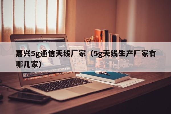 嘉兴5g通信天线厂家（5g天线生产厂家有哪几家）